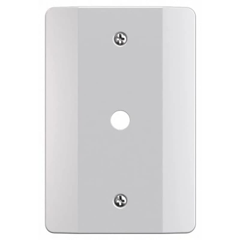 Placa 4x2 com Furo para Antena Branca Milleniun Mec Tronic 22006 — Campinas